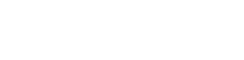 Ravensport Ecuador Logo